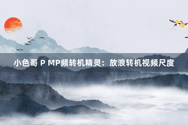 小色哥 P MP频转机精灵：放浪转机视频尺度