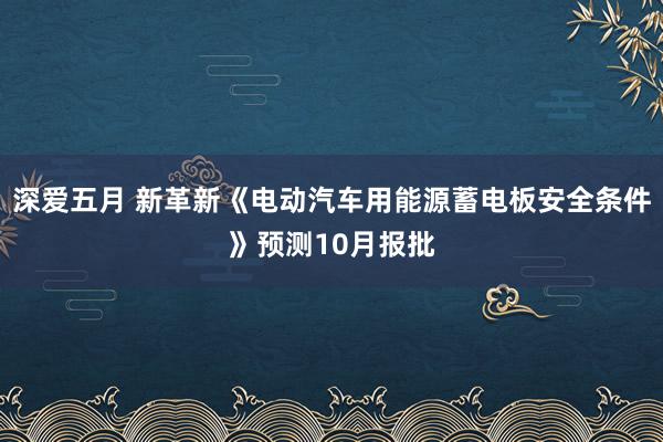 深爱五月 新革新《电动汽车用能源蓄电板安全条件》预测10月报批