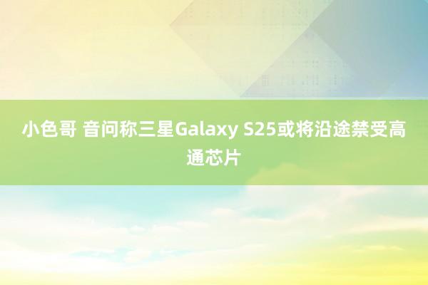 小色哥 音问称三星Galaxy S25或将沿途禁受高通芯片