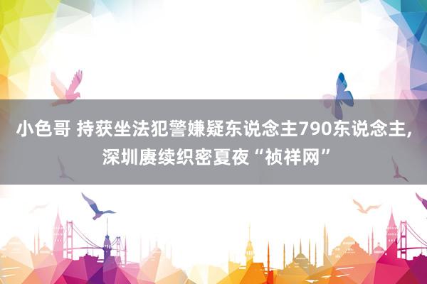 小色哥 持获坐法犯警嫌疑东说念主790东说念主， 深圳赓续织密夏夜“祯祥网”