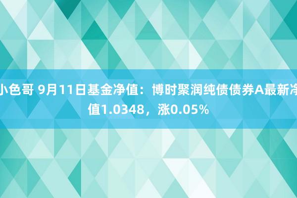 小色哥 9月11日基金净值：博时聚润纯债债券A最新净值1.0348，涨0.05%