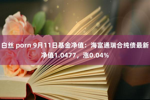 白丝 porn 9月11日基金净值：海富通瑞合纯债最新净值1.0477，涨0.04%