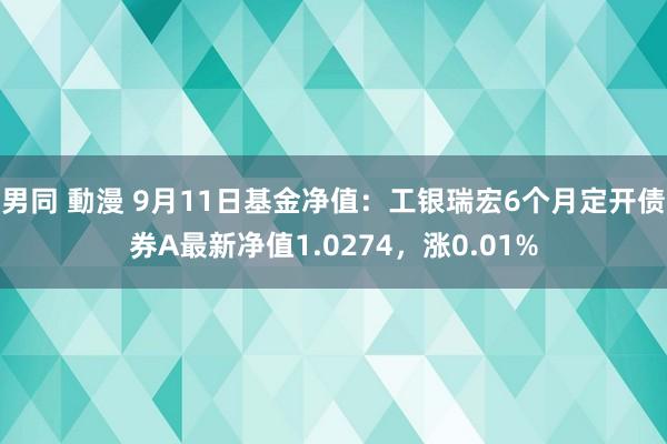 男同 動漫 9月11日基金净值：工银瑞宏6个月定开债券A最新净值1.0274，涨0.01%