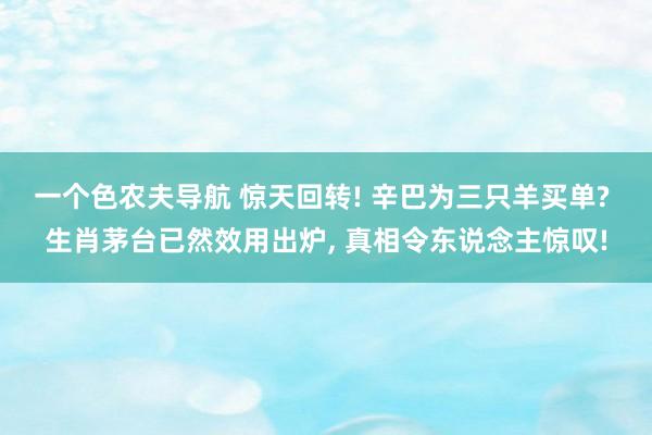 一个色农夫导航 惊天回转! 辛巴为三只羊买单? 生肖茅台已然效用出炉, 真相令东说念主惊叹!