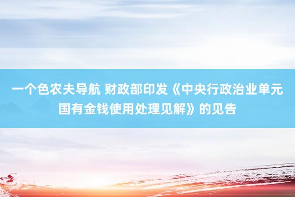 一个色农夫导航 财政部印发《中央行政治业单元国有金钱使用处理见解》的见告