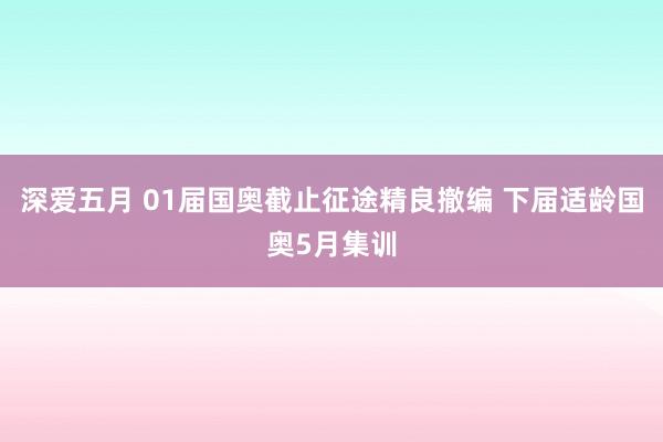 深爱五月 01届国奥截止征途精良撤编 下届适龄国奥5月集训