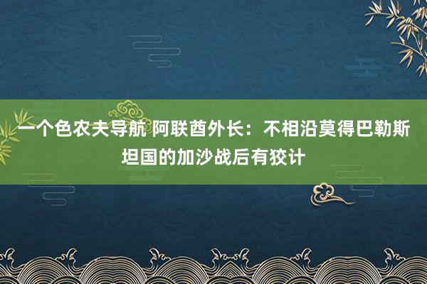 一个色农夫导航 阿联酋外长：不相沿莫得巴勒斯坦国的加沙战后有狡计