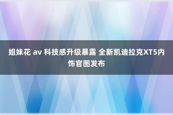 姐妹花 av 科技感升级暴露 全新凯迪拉克XT5内饰官图发布