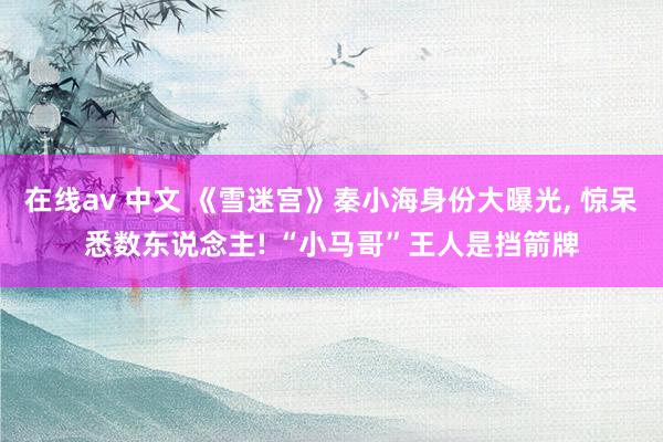 在线av 中文 《雪迷宫》秦小海身份大曝光， 惊呆悉数东说念主! “小马哥”王人是挡箭牌