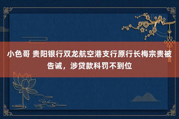 小色哥 贵阳银行双龙航空港支行原行长梅宗贵被告诫，涉贷款科罚不到位