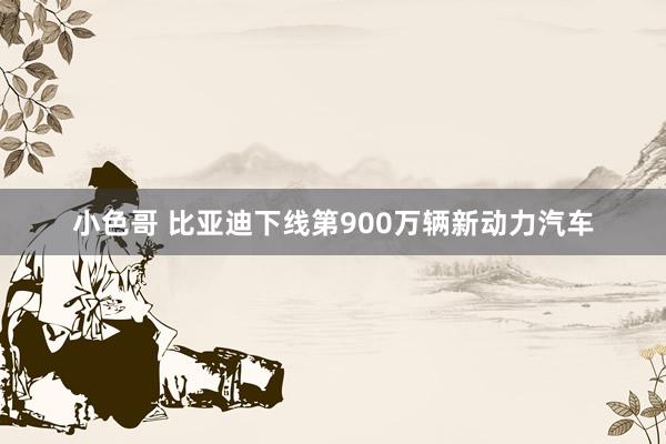 小色哥 比亚迪下线第900万辆新动力汽车