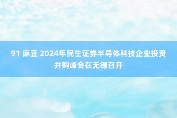 91 麻豆 2024年民生证券半导体科技企业投资并购峰会在无锡召开