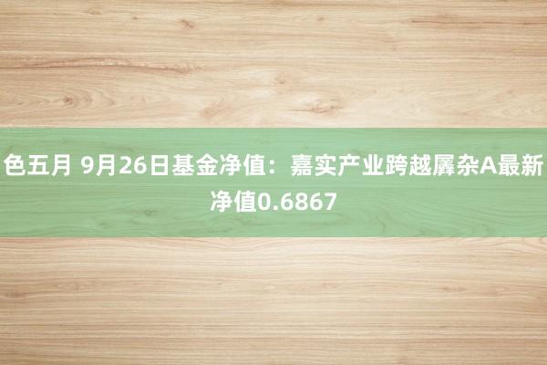 色五月 9月26日基金净值：嘉实产业跨越羼杂A最新净值0.6867