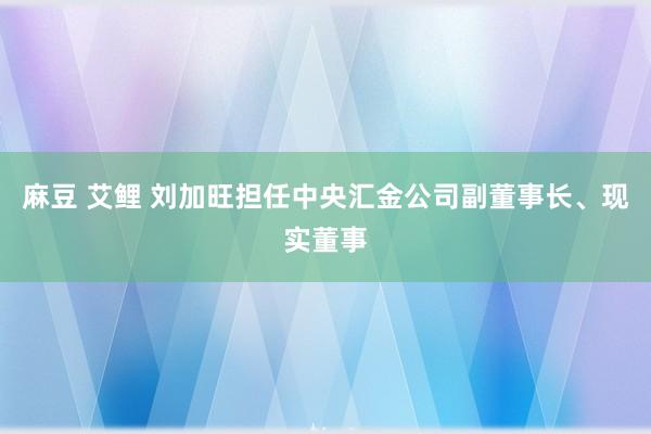 麻豆 艾鲤 刘加旺担任中央汇金公司副董事长、现实董事