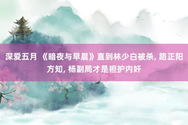 深爱五月 《暗夜与早晨》直到林少白被杀, 路正阳方知, 杨副局才是袒护内奸