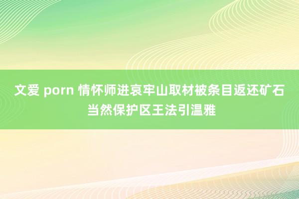 文爱 porn 情怀师进哀牢山取材被条目返还矿石 当然保护区王法引温雅