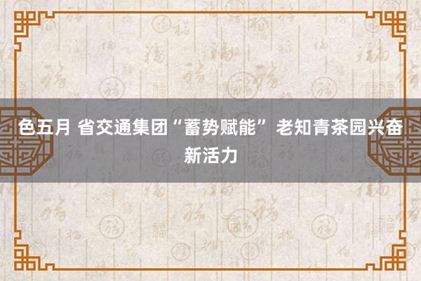 色五月 省交通集团“蓄势赋能” 老知青茶园兴奋新活力