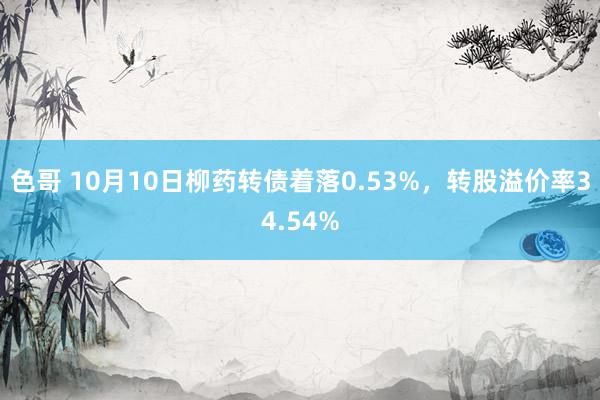 色哥 10月10日柳药转债着落0.53%，转股溢价率34.54%