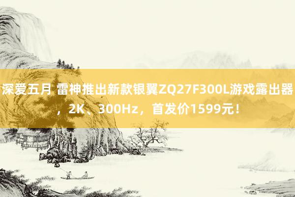 深爱五月 雷神推出新款银翼ZQ27F300L游戏露出器，2K、300Hz，首发价1599元！