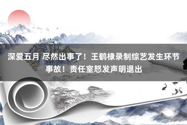 深爱五月 尽然出事了！王鹤棣录制综艺发生环节事故！责任室怒发声明退出