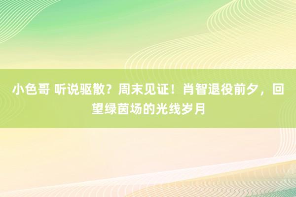 小色哥 听说驱散？周末见证！肖智退役前夕，回望绿茵场的光线岁月