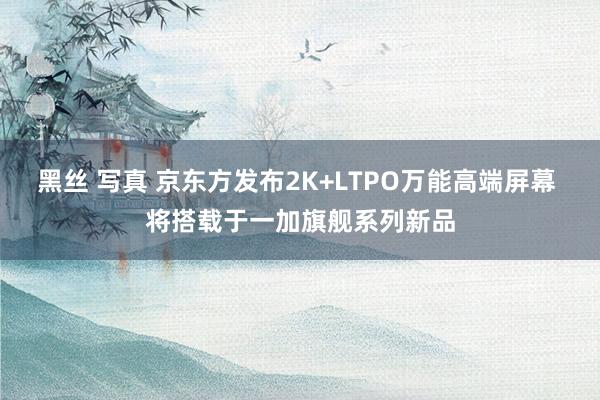 黑丝 写真 京东方发布2K+LTPO万能高端屏幕 将搭载于一加旗舰系列新品