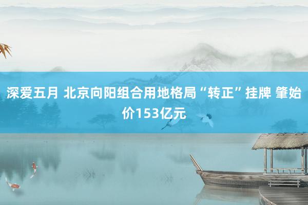 深爱五月 北京向阳组合用地格局“转正”挂牌 肇始价153亿元