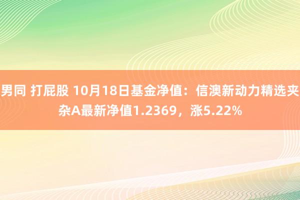 男同 打屁股 10月18日基金净值：信澳新动力精选夹杂A最新净值1.2369，涨5.22%