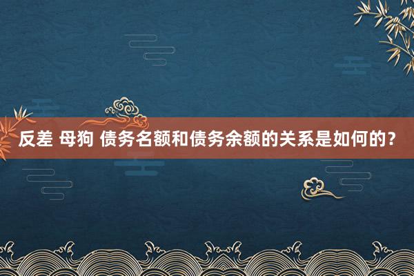 反差 母狗 债务名额和债务余额的关系是如何的？