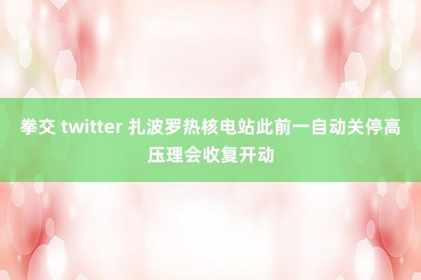 拳交 twitter 扎波罗热核电站此前一自动关停高压理会收复开动