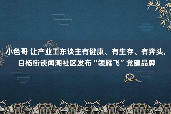 小色哥 让产业工东谈主有健康、有生存、有奔头, 白杨街谈闻潮社区发布“领雁飞”党建品牌