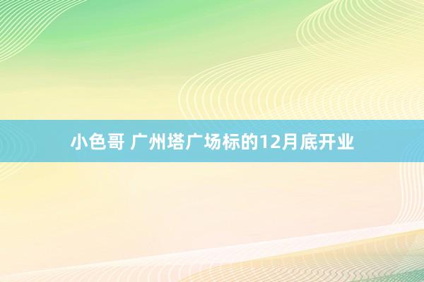 小色哥 广州塔广场标的12月底开业