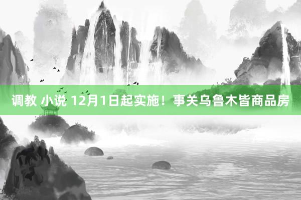 调教 小说 12月1日起实施！事关乌鲁木皆商品房