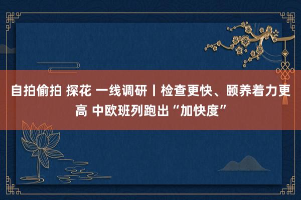 自拍偷拍 探花 一线调研丨检查更快、颐养着力更高 中欧班列跑出“加快度”