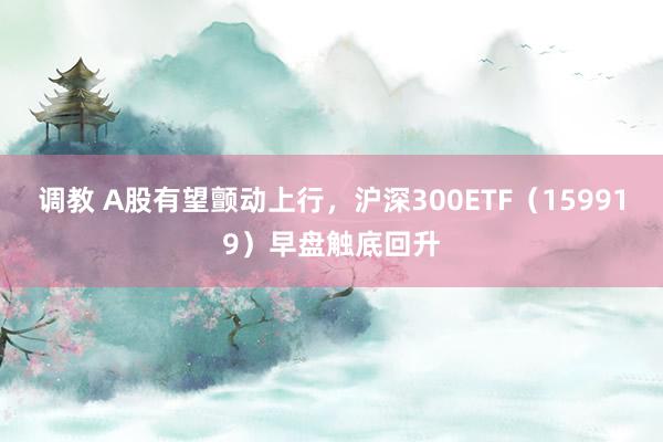 调教 A股有望颤动上行，沪深300ETF（159919）早盘触底回升