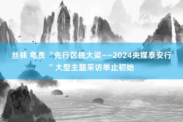 丝袜 龟责 “先行区挑大梁——2024央媒泰安行”大型主题采访举止初始