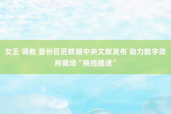 女王 调教 首份巨匠数据中央文献发布 助力数字政府栽培“换挡提速”