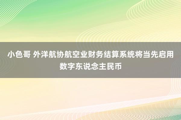 小色哥 外洋航协航空业财务结算系统将当先启用数字东说念主民币