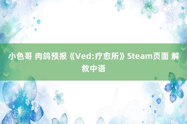 小色哥 肉鸽预报《Ved:疗愈所》Steam页面 解救中语