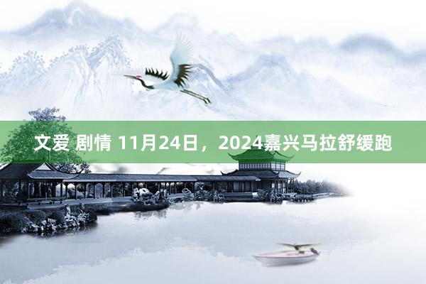 文爱 剧情 11月24日，2024嘉兴马拉舒缓跑