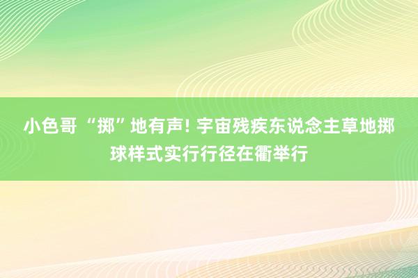 小色哥 “掷”地有声! 宇宙残疾东说念主草地掷球样式实行行径在衢举行