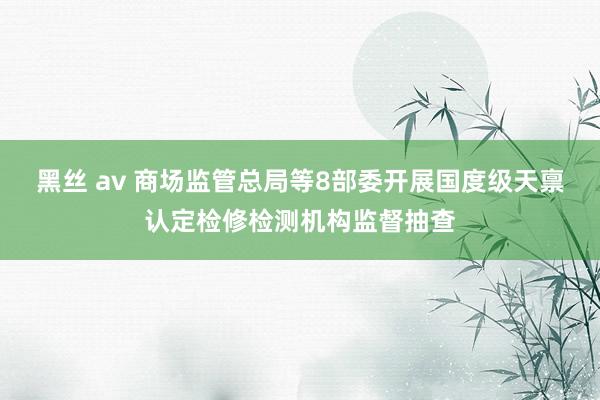 黑丝 av 商场监管总局等8部委开展国度级天禀认定检修检测机构监督抽查