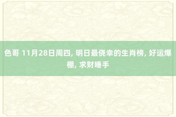 色哥 11月28日周四, 明日最侥幸的生肖榜, 好运爆棚, 求财唾手