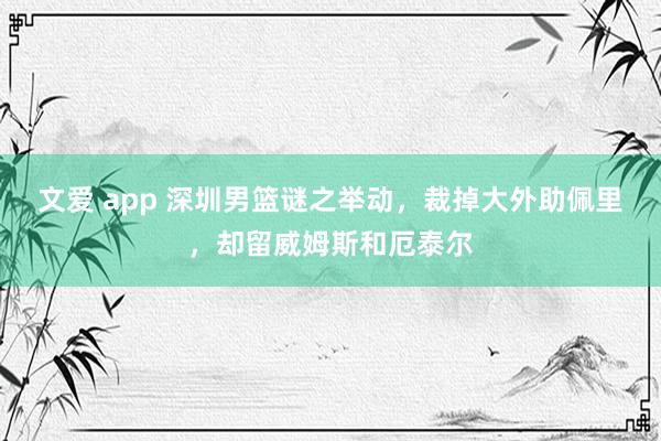 文爱 app 深圳男篮谜之举动，裁掉大外助佩里，却留威姆斯和厄泰尔