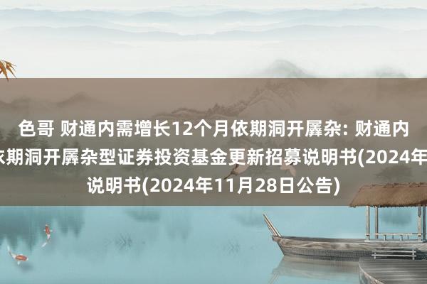 色哥 财通内需增长12个月依期洞开羼杂: 财通内需增长12个月依期洞开羼杂型证券投资基金更新招募说明书(2024年11月28日公告)