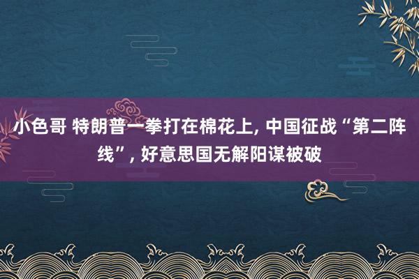 小色哥 特朗普一拳打在棉花上, 中国征战“第二阵线”, 好意思国无解阳谋被破