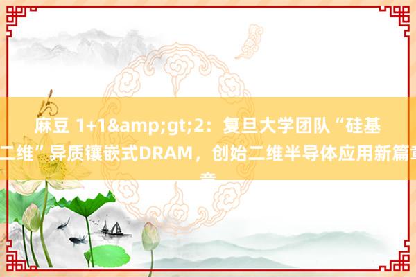 麻豆 1+1&gt;2：复旦大学团队“硅基-二维”异质镶嵌式DRAM，创始二维半导体应用新篇章