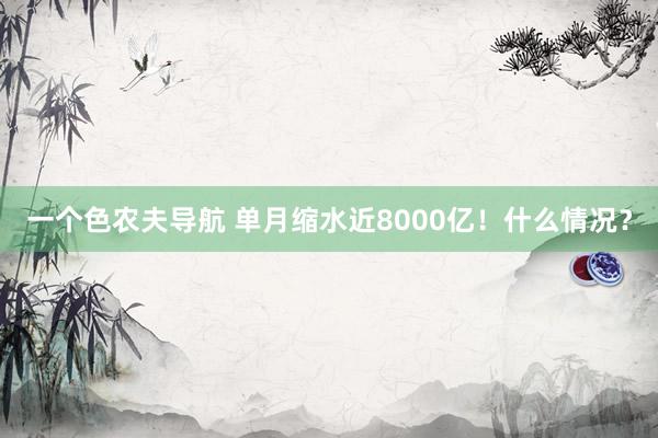 一个色农夫导航 单月缩水近8000亿！什么情况？