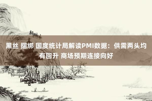 黑丝 捆绑 国度统计局解读PMI数据：供需两头均有回升 商场预期连接向好