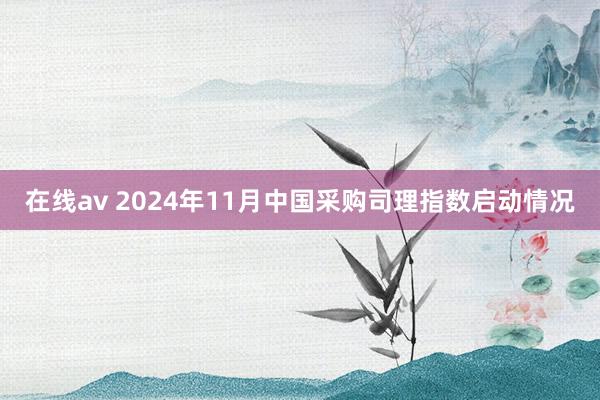 在线av 2024年11月中国采购司理指数启动情况